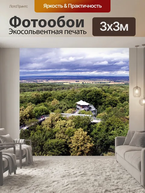 Фотообои Тропинка на верхушках деревьев