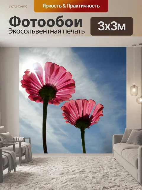 Фотообои Цветы в голубое небо