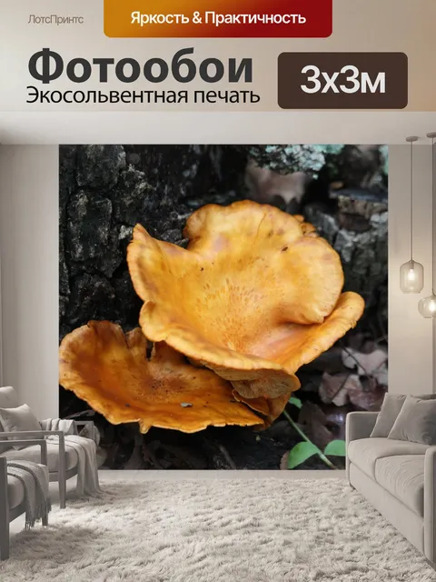 Фотообои Грибы Джек-О-Фонарь