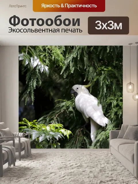 Фотообои Белый какаду