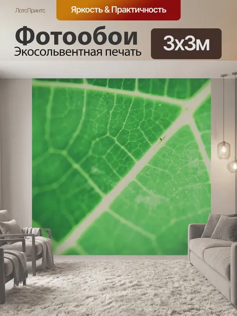 Фотообои Зеленый лист фон