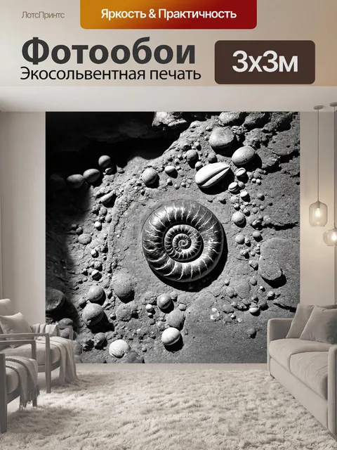 Фотообои окаменелый аммонит, обнаруженный в раскопках, украшенный слоем песчаника и мелких раковин других обитателей…