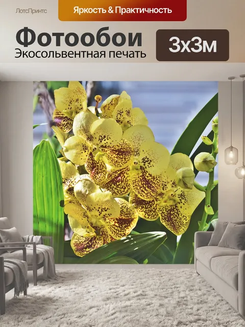 Фотообои Орхидеи