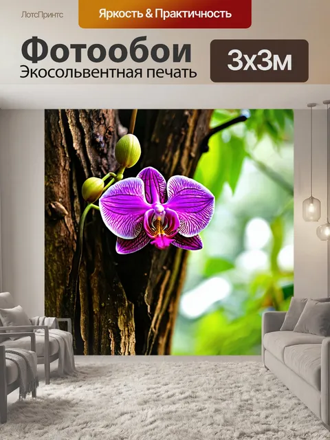 Фотообои орхидея, растущая на старом дереве