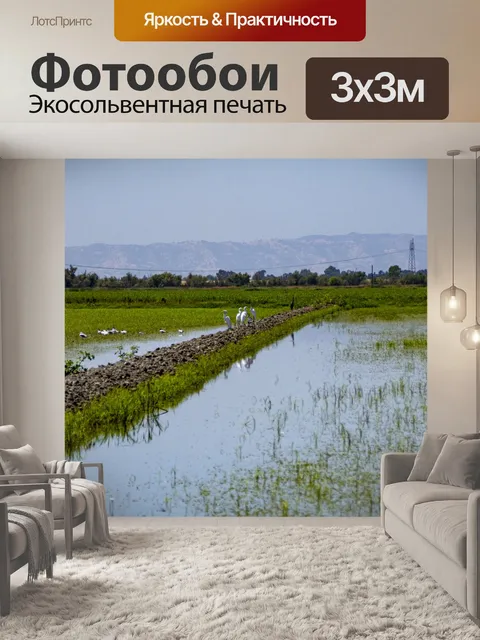 Фотообои заболоченный ландшафт
