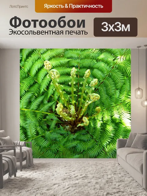 Фотообои Папоротник