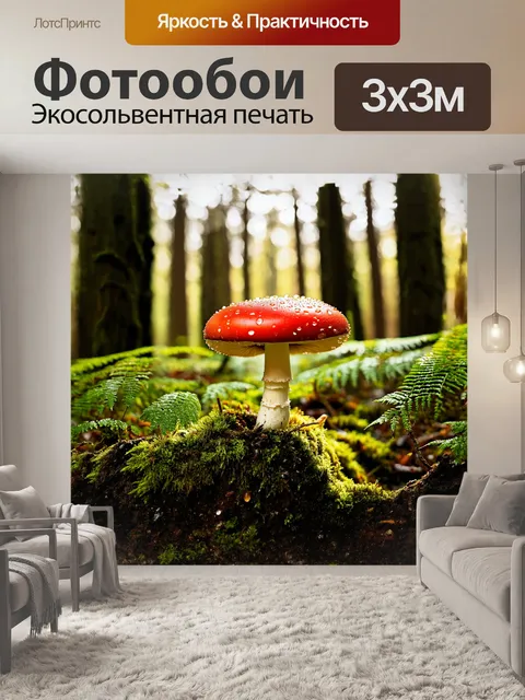 Фотообои яркий красный мухомор