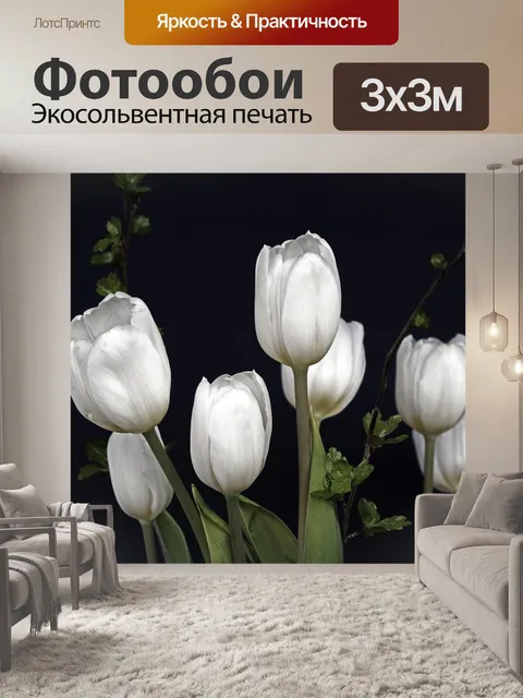 Фотообои Тюльпаны