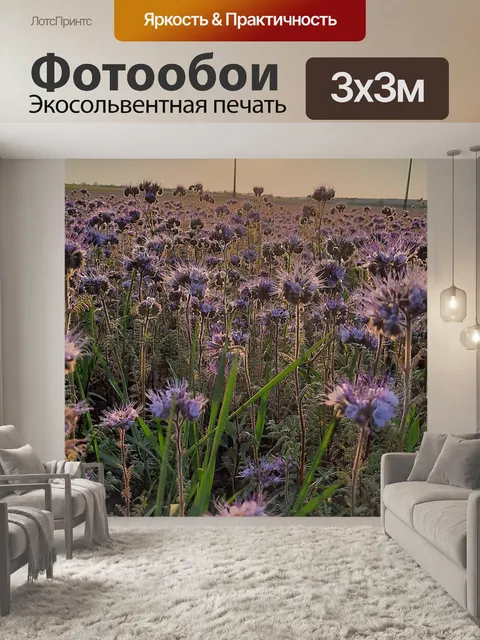 Фотообои Закат