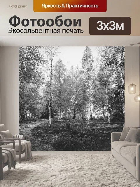 Фотообои Береза