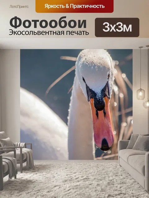 Фотообои Гусь