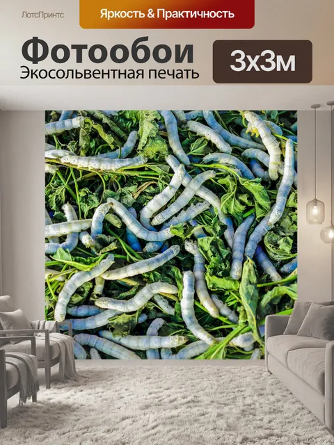Фотообои Шелкопряд ест листья шелковицы