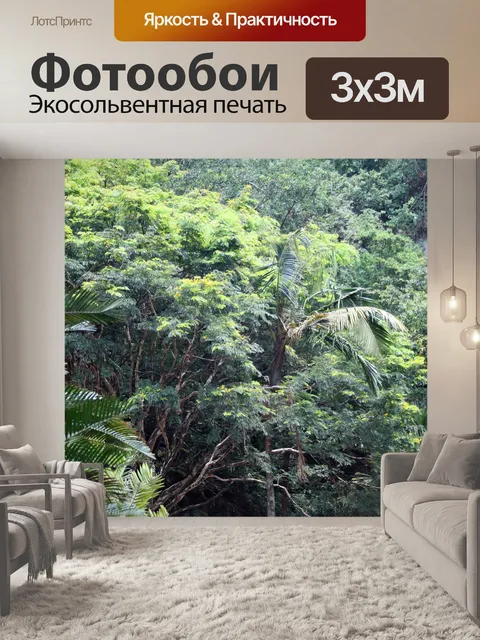 Фотообои плотная субтропическая растительность