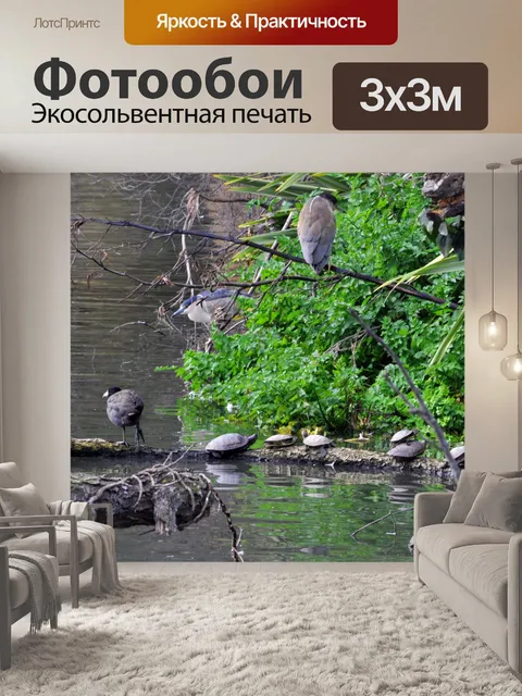 Фотообои Черепахи и птицы