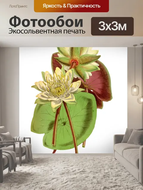 Фотообои Художественная роспись водяных лилий