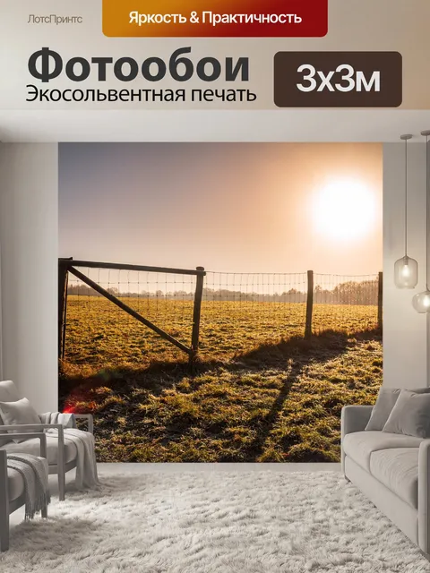 Фотообои Солнце