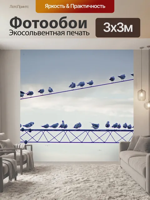 Фотообои Птицы