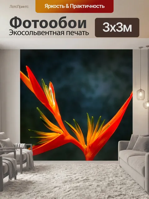 Фотообои Райская птица