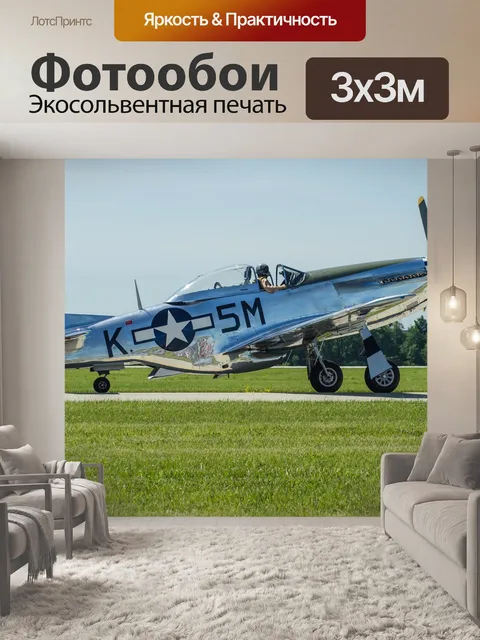 Фотообои Военная птица