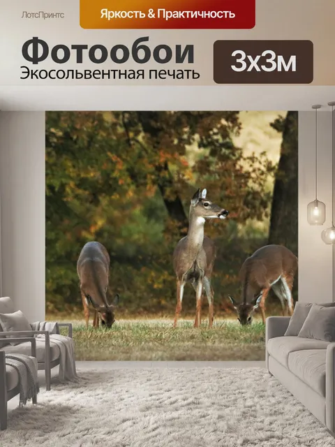 Фотообои Белохвостая лань и олени осенью