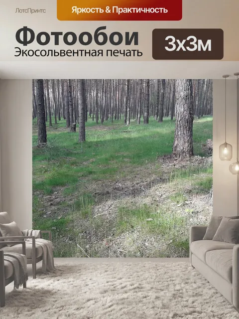Фотообои Лес