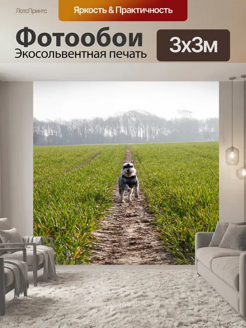Фотообои Пейзаж Раннее утро