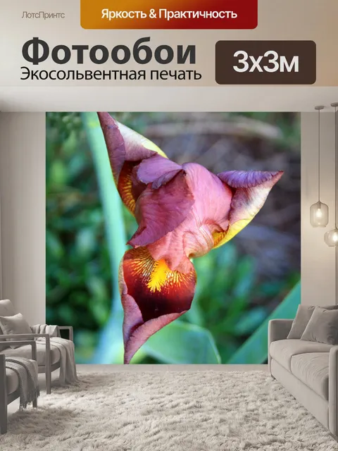 Фотообои лиловые ирис