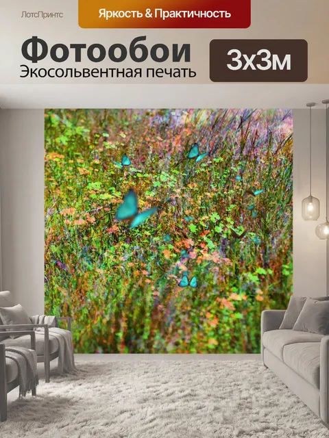 Фотообои Бабочка поле