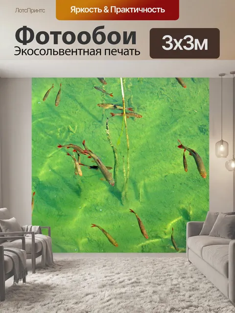 Фотообои Косяк рыб