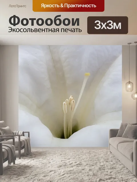 Фотообои Труба цветок тычинка