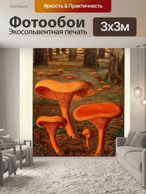 Фотообои Грибы век винтаж старый