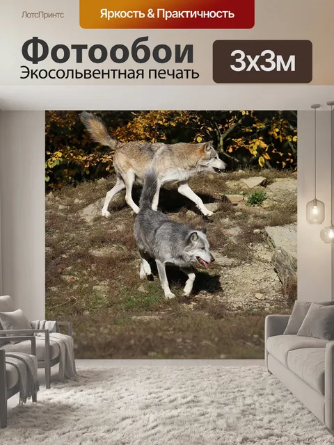 Фотообои Волки