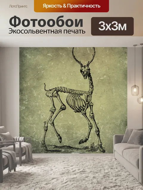 Фотообои скелет оленя