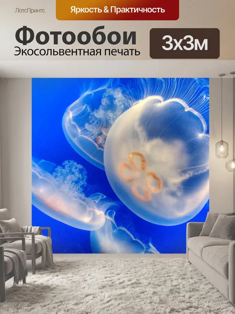 Фотообои медуза