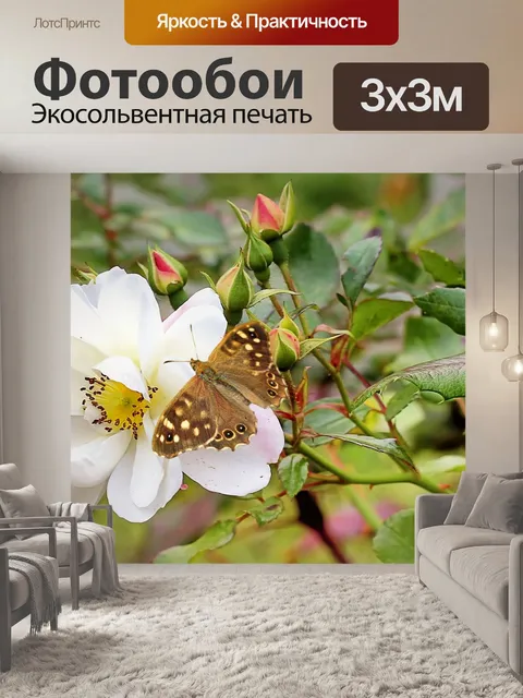 Фотообои Кустовая роза