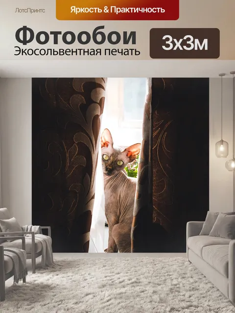 Фотообои Кошка