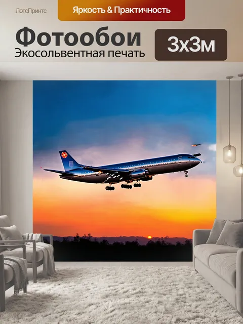 Фотообои огромный пассажирский самолёт туполева