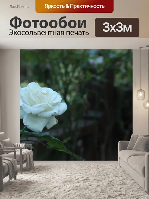 Фотообои Роуз