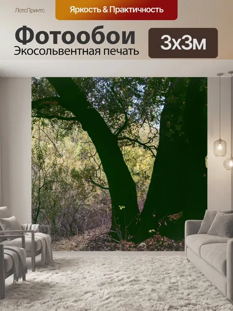 Фотообои Дерево на лугу