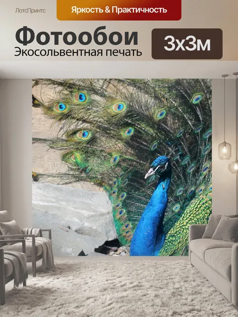 Фотообои Павлин