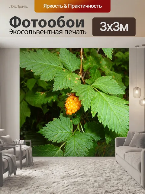 Фотообои Лесная ягода
