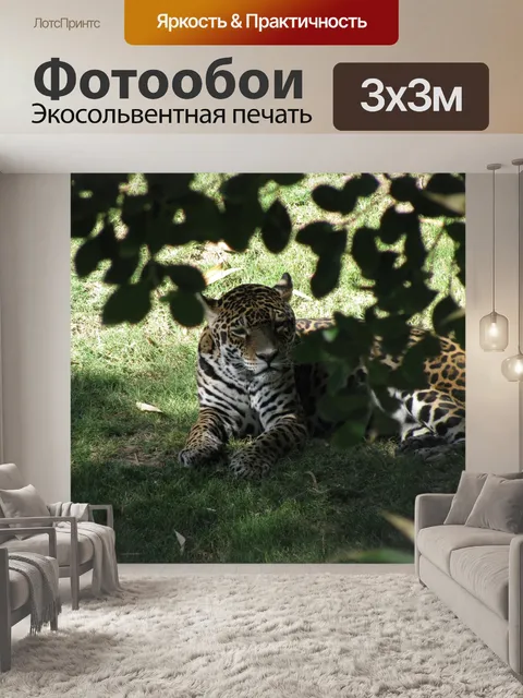 Фотообои Сафари
