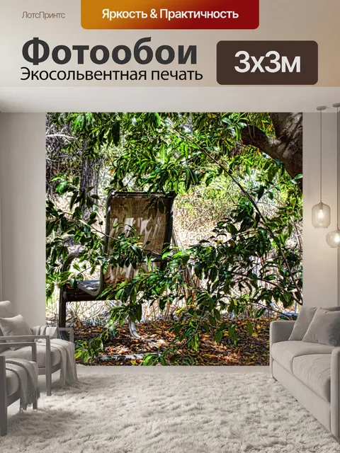 Фотообои Стул в тени