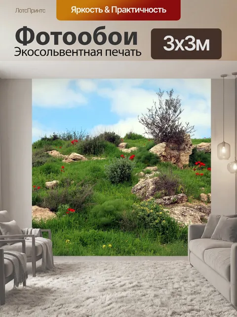 Фотообои Анемон