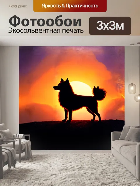 Фотообои гладкий силуэт первобытного шпица против заката, когда оранжевые и пурпурные оттенки наполняют небо