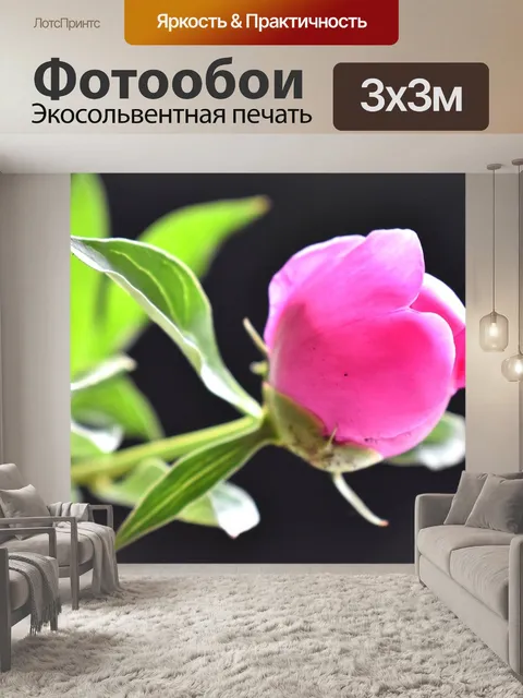 Фотообои Пион