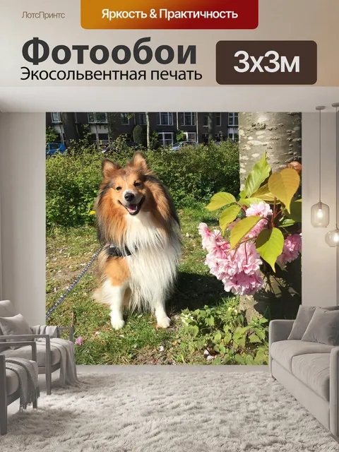 Фотообои Шелти