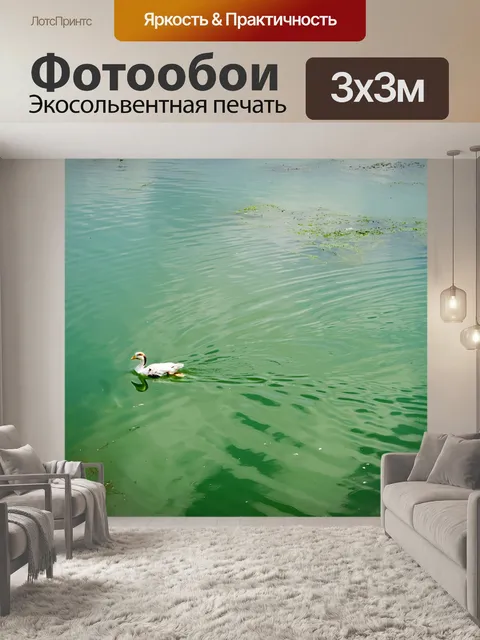 Фотообои Утка
