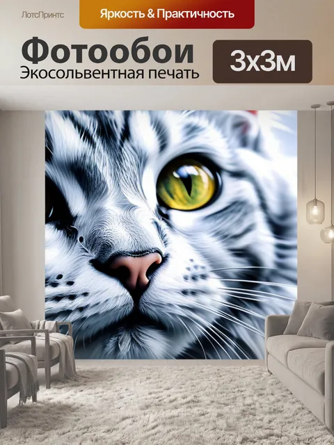 Фотообои с котенком держись