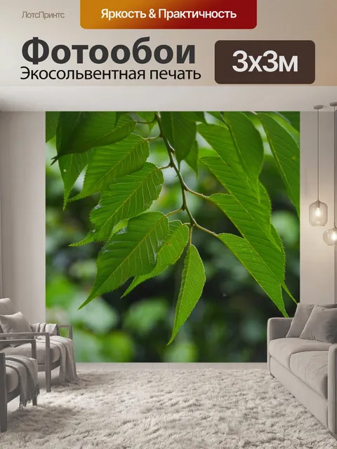Фотообои Сакура